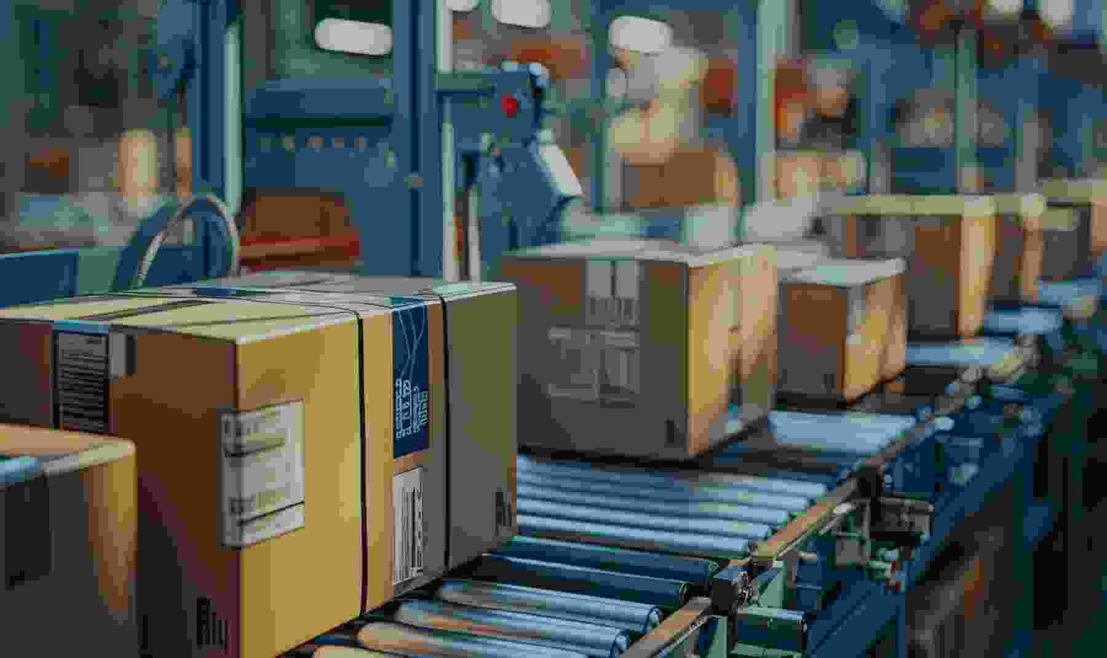 Warehouse Cold Room Packer Picker